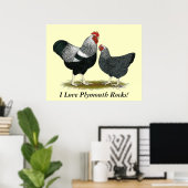 Plymouth Rock: Silver Penciled Pair Poster (Thuiskantoor)
