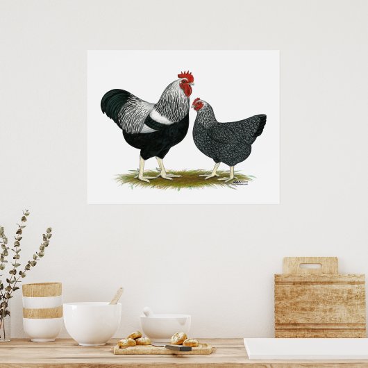 Plymouth Rock: Silver Penciled Pair Poster (Keuken)