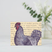 Plymouth Rock Vintage Market Poultry Briefkaart (Staand voorkant)