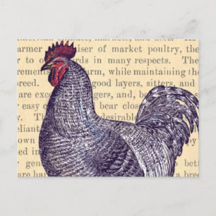 Plymouth Rock Vintage Market Poultry Briefkaart