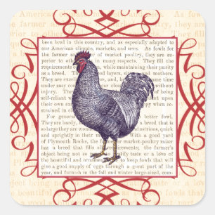 Plymouth Rock Vintage Poultry Boerderij Vierkante Sticker