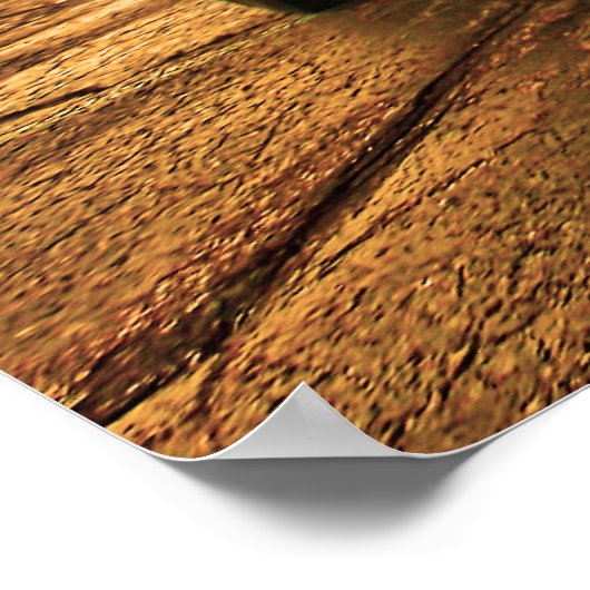 Plymouth Superbird 1970 Poster (Hoek)