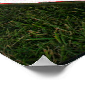 Plymouth Superbird 1970 Poster (Hoek)