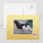 Plz aan open deur briefkaart (Voorkant / Achterkant)