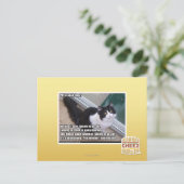 Plz aan open deur briefkaart (Staand voorkant)