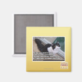 Plz om de deur te openen magneet (Voorkant / Achterkant)