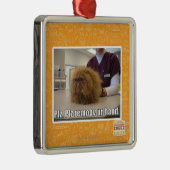 Plz remoov onze hand metalen ornament (Rechts)