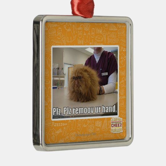 Plz remoov onze hand metalen ornament (Rechts)