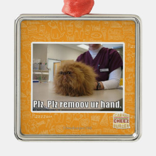 Plz remoov onze hand metalen ornament