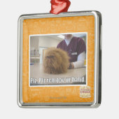 Plz remoov onze hand metalen ornament (Links)