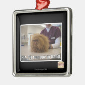 Plz remoov onze hand metalen ornament (Links)