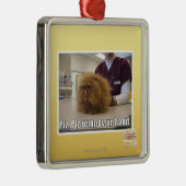 Plz remoov onze hand metalen ornament (Rechts)