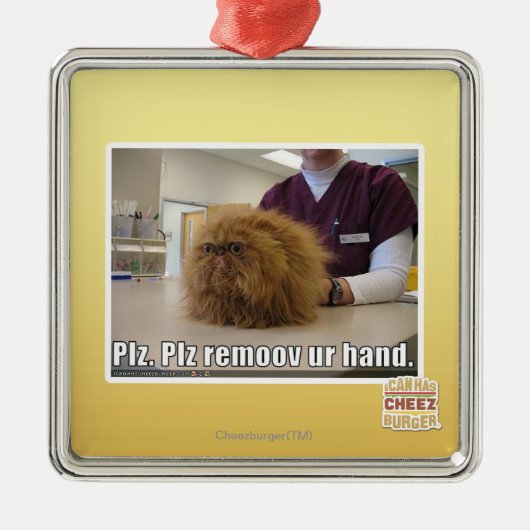 Plz remoov onze hand metalen ornament (Voorkant)