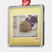 Plz remoov onze hand metalen ornament (Links)