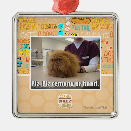 Plz remoov ur hand metalen ornament (Voorkant)