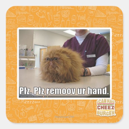 Plz verwijder onze hand vierkante sticker (Voorkant)