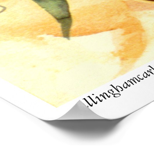 PMACarlson "Black Capped Chickadee"-Poster Poster (Hoek)