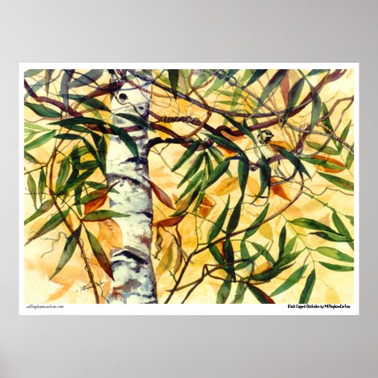 PMACarlson "Black Capped Chickadee"-Poster Poster (Voorkant)