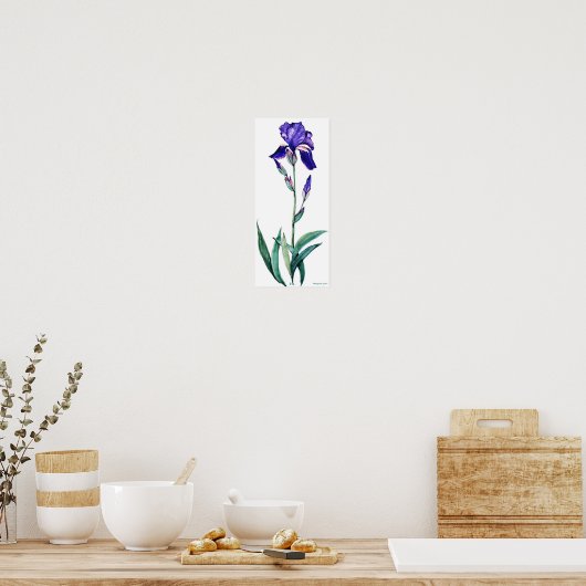PMACarlson Elegant Iris Poster (Keuken)