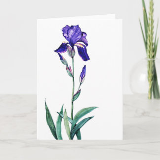 PMACarlson Garden Iris Kaart