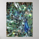 PMACarlson Jeweled Poster (Voorkant)