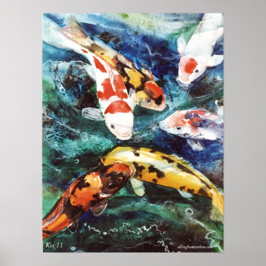 PMACarlson Koi 11 Poster (Voorkant)
