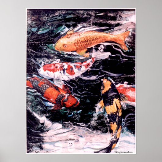 PMACarlson Koi 9 Poster (Voorkant)