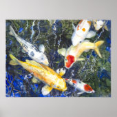 PMACarlson Koi, Deep Blue Poster (Voorkant)