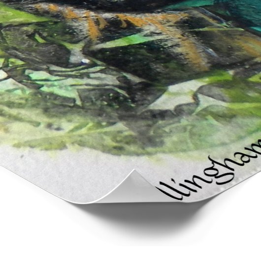 PMACarlson Watkins Glen Gorge Poster (Hoek)