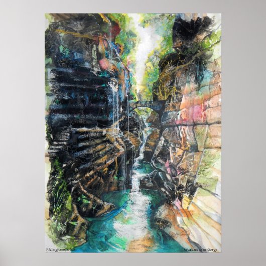 PMACarlson Watkins Glen Gorge Poster (Voorkant)