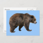 Png geïsoleerd bruin beer briefkaart (Voorkant / Achterkant)