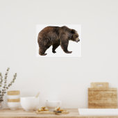 Png geïsoleerd bruin beer poster (Keuken)