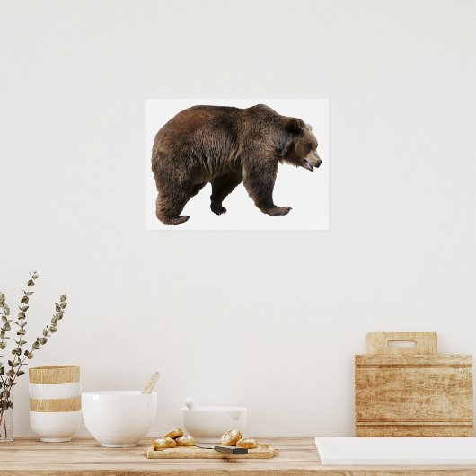 Png geïsoleerd bruin beer poster (Keuken)