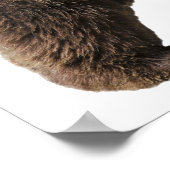 Png geïsoleerd bruin beer poster (Hoek)