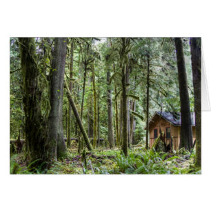 PNW Cabine
