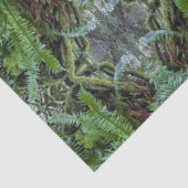 PNW varens Tissuepapier (Detail)