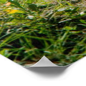 Poaster Poster (Hoek)