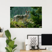 Poaster Poster (Thuiskantoor)