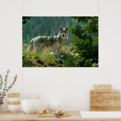 Poaster Poster (Keuken)