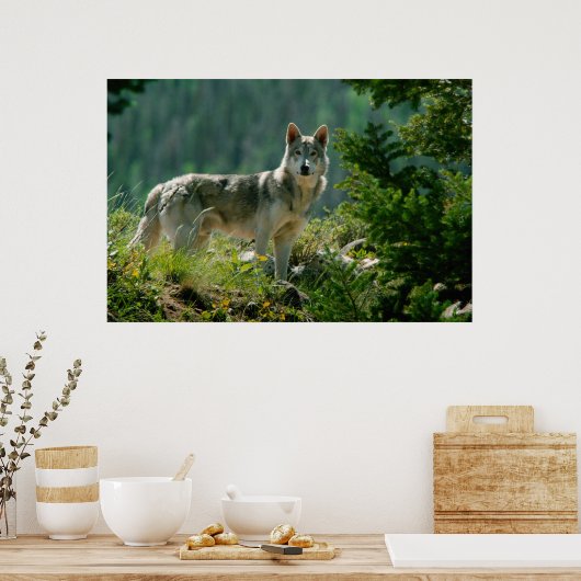 Poaster Poster (Keuken)