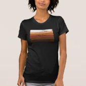 POC Pride T-shirt (Voorkant)