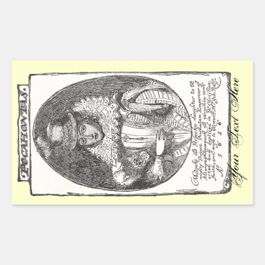 Pocahontas-Stickers Rechthoekige Sticker (Voorkant)