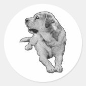 Pocket Daydream, Retriever Ronde Sticker (Voorkant)