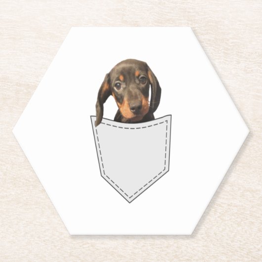 Pocket Dog Dachshund Kartonnen Onderzetters (Voorkant)