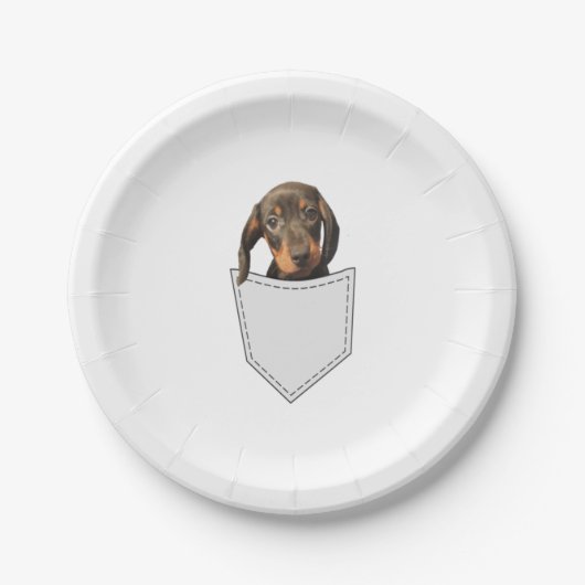 Pocket Dog Dachshund Papieren Bordje (Voorkant)