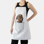 Pocket Dog Dachshund Schort (Insitu)