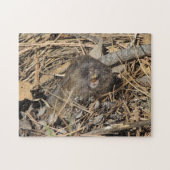 Pocket Gopher Legpuzzel (Horizontaal)