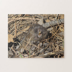 Pocket Gopher Legpuzzel