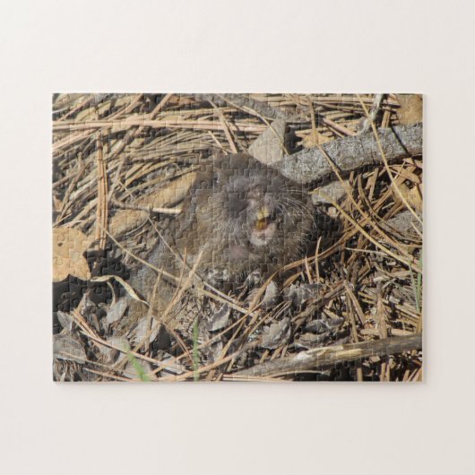 Pocket Gopher Legpuzzel (Horizontaal)