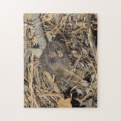 Pocket Gopher Legpuzzel (Verticaal)